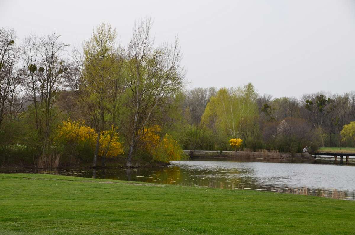 2014-03-31 16-08-54.JPG